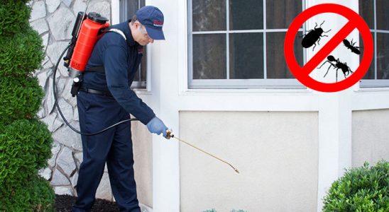 Suruç Fare İlaçlama böcek ilaçlama ve haşere kontrolü — ilaclama-tr.com
